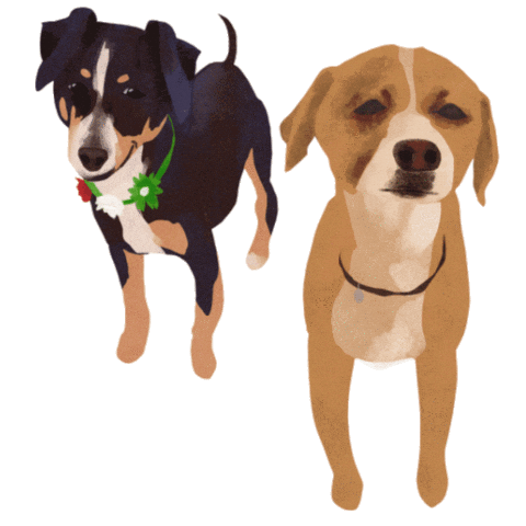 Animação Dois Cachorros